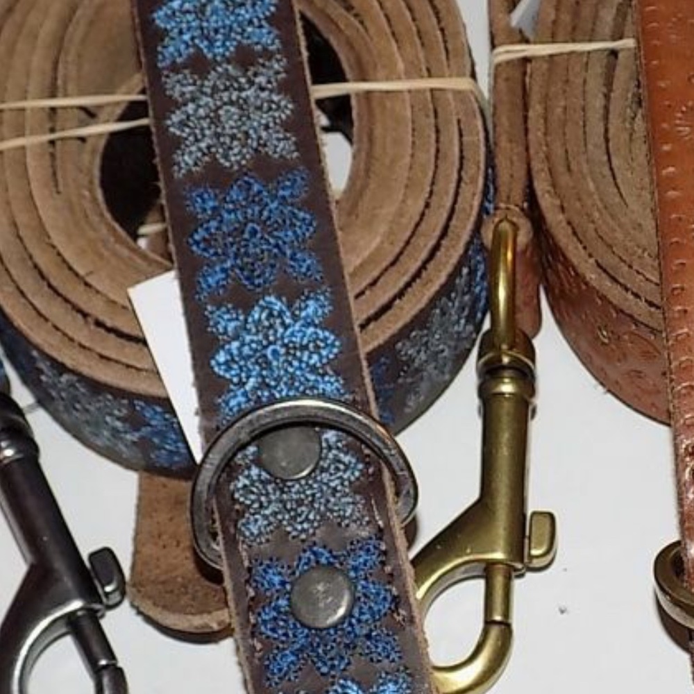 Lucky Brand Dog and Leash Set